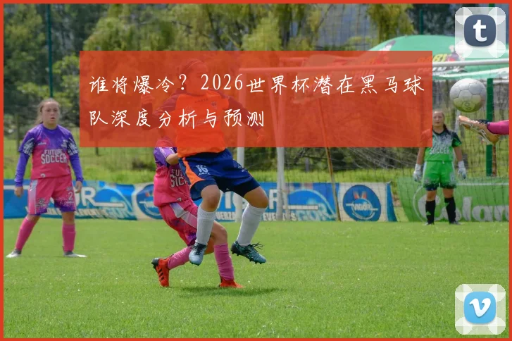 谁将爆冷?2026世界杯潜在黑马球队深度分析与预测